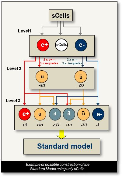 Standard Model: Construction starting with sCells