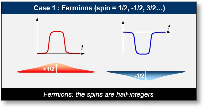 Spin: Fermions