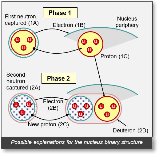 Nucleus: Shows the binary structure of some nuclei